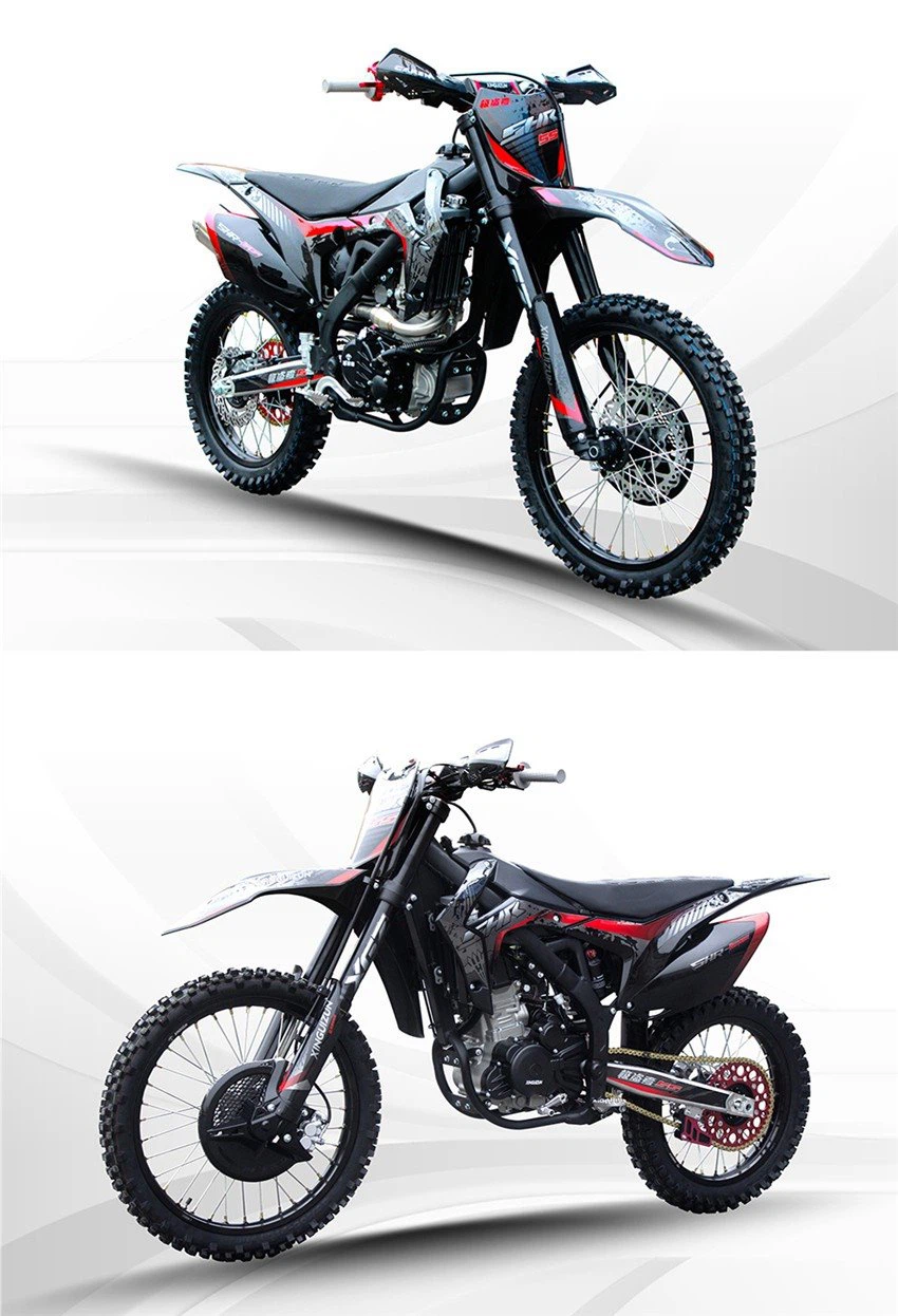 pro flat track racing